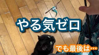 やる気ゼロなキキ→最後はちゃんと遊びます
