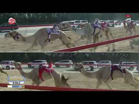  ش 10 (السعدي) لـ هجن أم الزبار 12:44:52 ، ختامي المرموم 2026/03/29 حول زمول