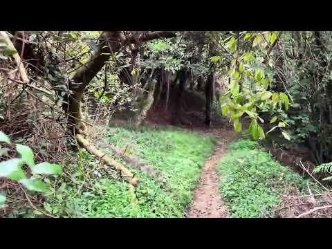 Scotsman's Gully virtual tour preview