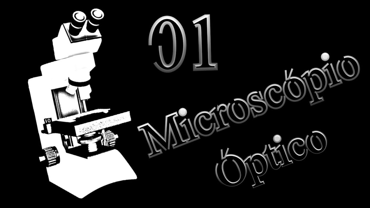 01- Microscópio óptico