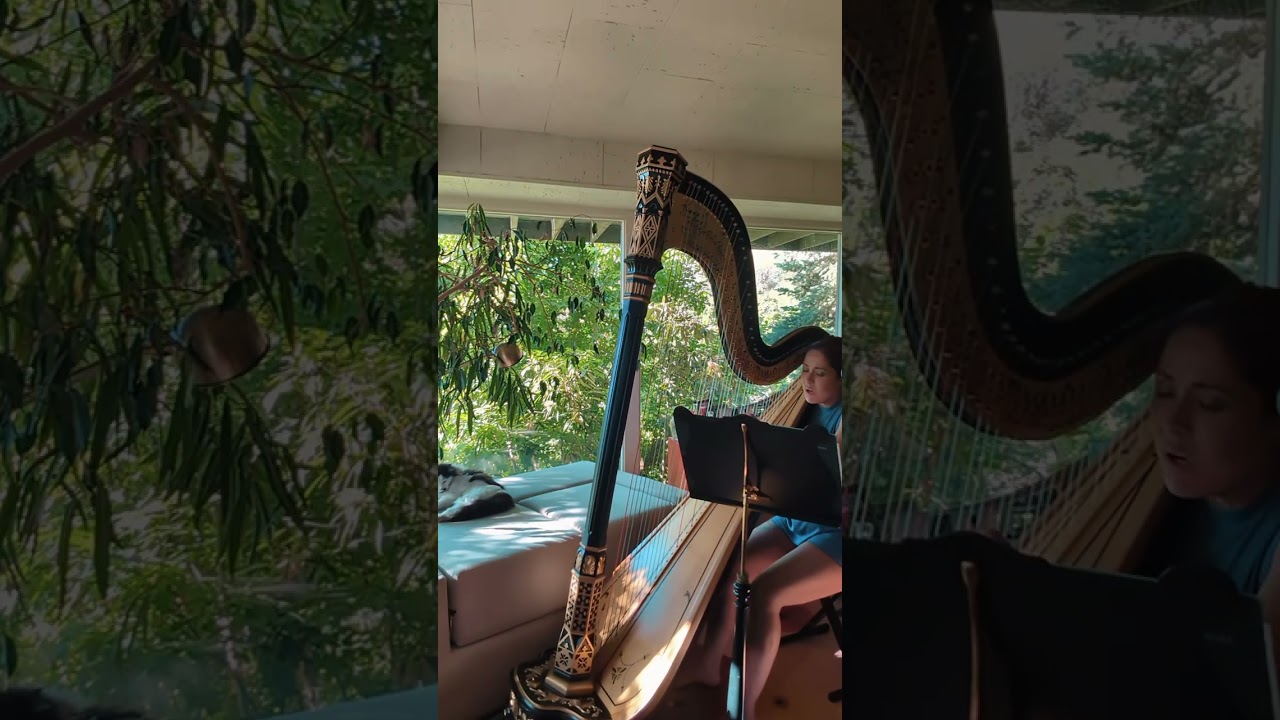 Promotional video thumbnail 1 for The Barefoot Harpist