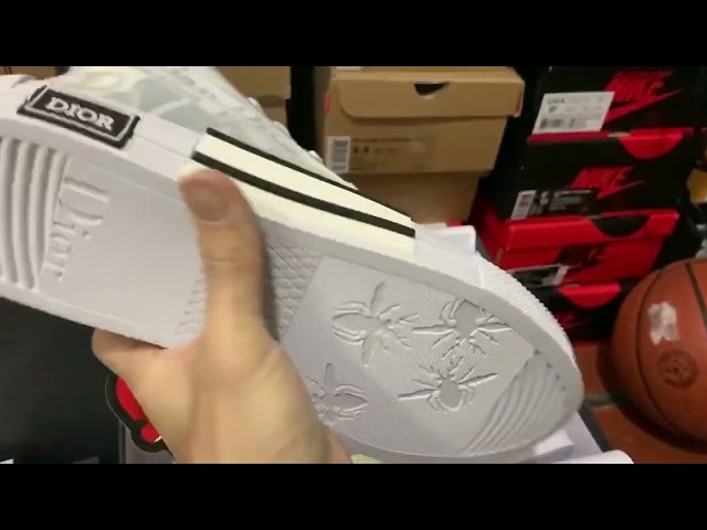 Walk N Dior Sneakers NEWSPAPER