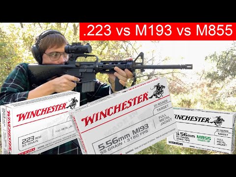 M193 vs M855 vs .223 Rem Pt. 1 (Winchester White Box)
