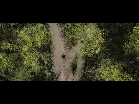 KERESZTKÉRDÉS – Visszahozlak | Official Music Video