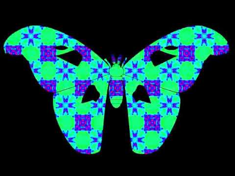 ZC014LP   Digisynaptic Resonance by 1NC1N   The Butterfly Effect LP   Zodiak Commune Records