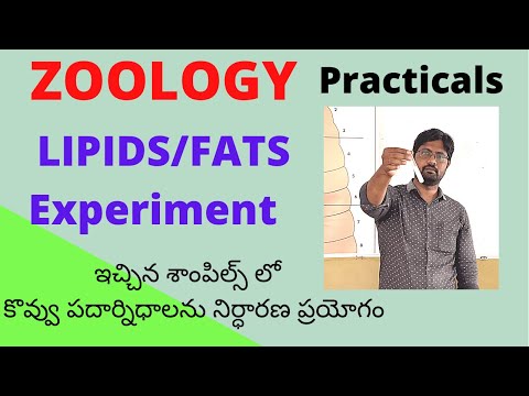 Lipids/Fats Experiment || Inter Zoology Practicals |శాంపిల్స్ లో  కొవ్వు పదార్థాలను నిర్ధారణ ప్రయోగం