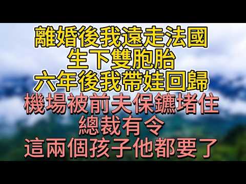離婚後我遠走法國，生下雙胞胎。六年後我帶娃回歸，機場被前夫保鑣堵住：&ldquo;總裁有令，這兩個孩子他都要了！&rdquo;#為人處世 #生活經驗 #情感故事