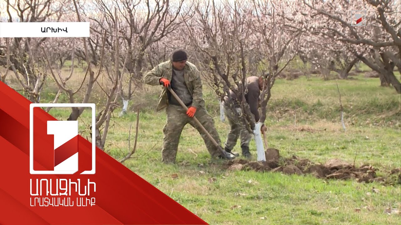 Գյուղապահովագրության պայմանագրերի ռեկորդային ցուցանիշ է գրանցվել