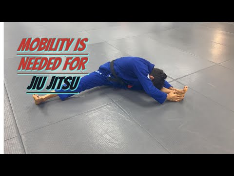 Mobility IS NEEDED For Jiu Jitsu | Cobrinha BJJ