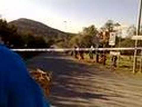 Federico Santini - Rallye Elba