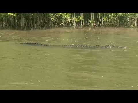 Cairns Luxury Guides