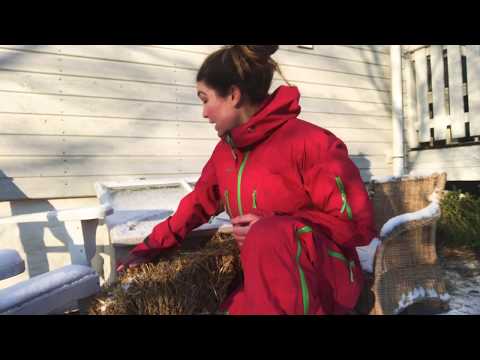 5 grönsaker jag odlar i vår varmbänk och varmbänkar och ett knep för bästa kallbänken