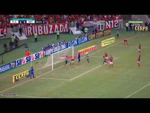 gol luis fernando flamengo 0 x 1 botafogo