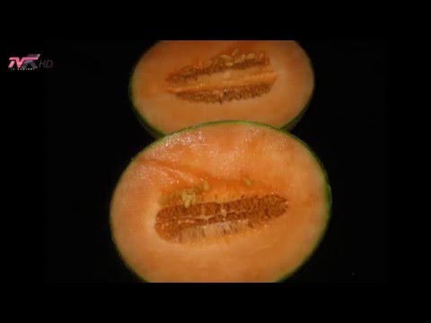 këshilla mjekësore - Pjepri, burim vitaminash