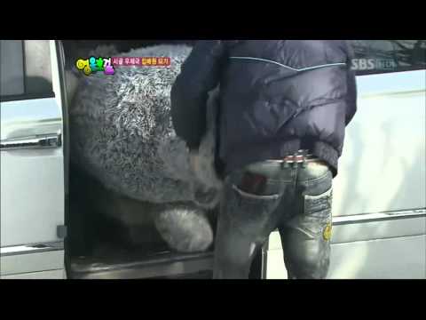 IU-rabbit (good day)