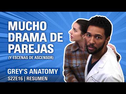 Grey's Anatomy 22x16 resumen recap
