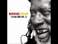 Burning Spear - Hey Dready Dub