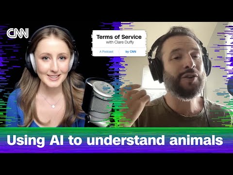 Can AI really help us decode our pets’ communication? | Terms of Service