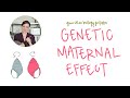 When Mom S DNA Calls The Shots Genetic Maternal Effects