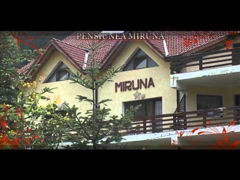 Miruna Guesthouse in Sambata de Sus