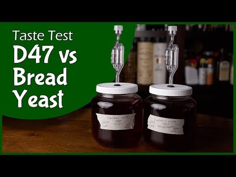 Bread Yeast vs D47 - Taste Test