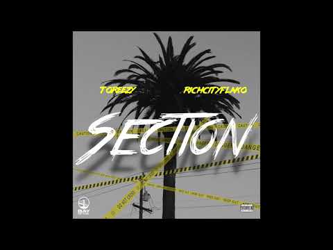 Toreezy x RichCityFlako - Section (Audio)