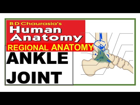 Chp12 | Ankle Joint | Lower Limb Joints | Dr Asif Lectures