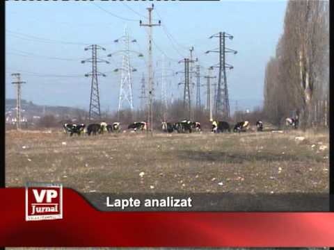 Lapte analizat