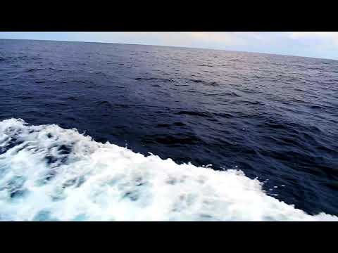 Nobody Needs Me (feat. Cavasoul) [Prod. CapsCtrl]