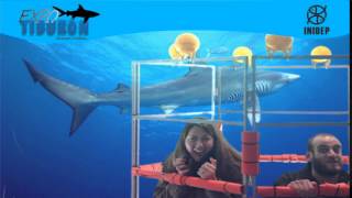 DIA 2 Expo Tiburon306