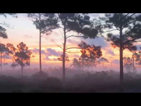 John R Burr video