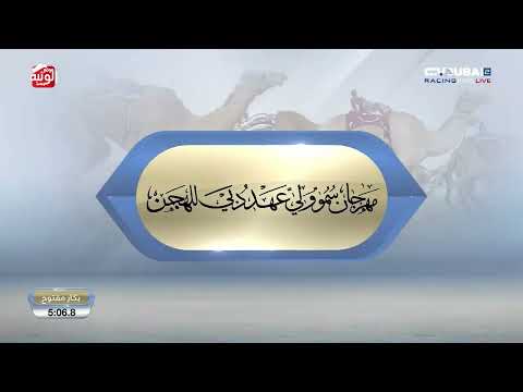 ش 1 (الشاهينية) لـ هجن العاصفة 12:38:0 , مهرجان ولي عهد دبي 2026/1/14 حول وزمول المرموم
