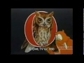 Owl Television 1990