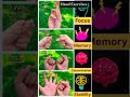 Brain Exercises #yoga #brainpower #exercise #shortsfeed #meditation #health #focus #stability #short