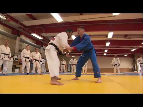 Le champion olympique iranien, Saeid Mollaei, présente son judo atypique au club de Grand-Quevilly