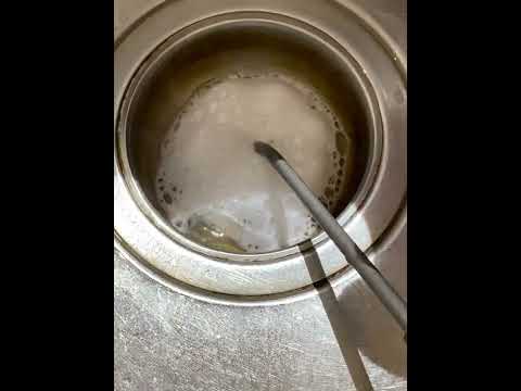 KILL THEM DRAIN FLIES IN YOUR HOUSE 🦋