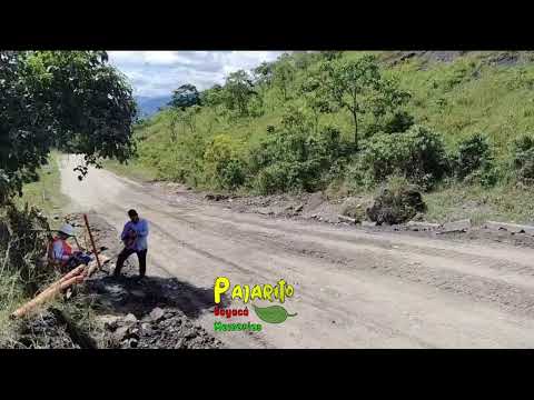 El PR 82+200  (vía Sogamoso - Pajarito Boyacá)  03/12/2025