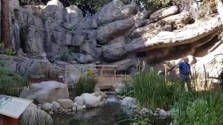 Planting in Communities Benefits Garden Health