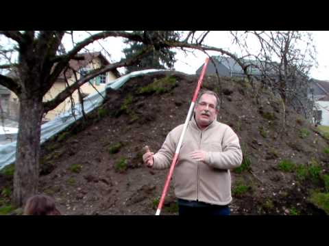 Schneiden im Garten 2011 - Apfelhochstamm 1v6