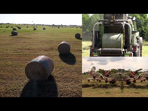 Make grass in to hay bale | Harvesting hay bales | baling hay complete process | Green acres