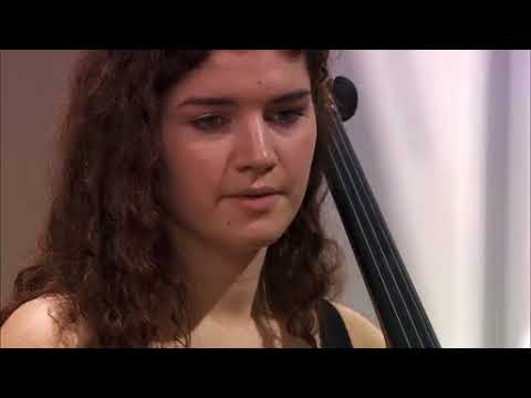 Violoncelles, vibrez ! La classe d'excellence de Gautier Capuçon, 2014-2015