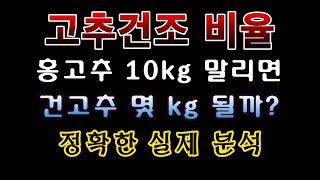 [텃밭농부. 1,192]  홍고추 10kg 건조 시키면 건고추는 얼마나 될까? 고추재배 #고추건조