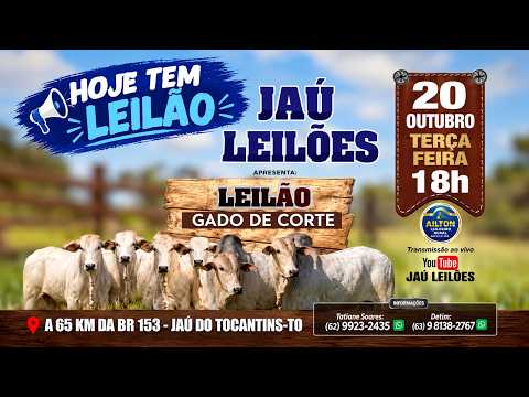 LEILÃO GADO DE CORTE  - JAU LEILÕES  - JAU DO TOCANTINS  - 20 / 10 / 2026