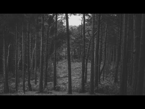 [free] Ryan Trey x 6LACK Type beat | "PATH" | rnb instrumental