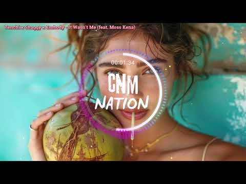 Tenchi x Shaggy x Embody - It Wasn't Me (feat. Moss Kena)