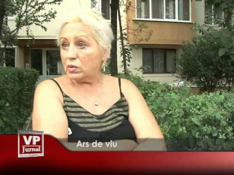 Ars de viu