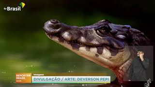 Miniatura do vídeo