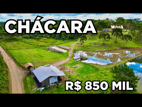 CHÁCARA 2 CASAS CAVALO CRIOLO 2 LAGOS ANIMAIS E NATUREZA R$850MIL