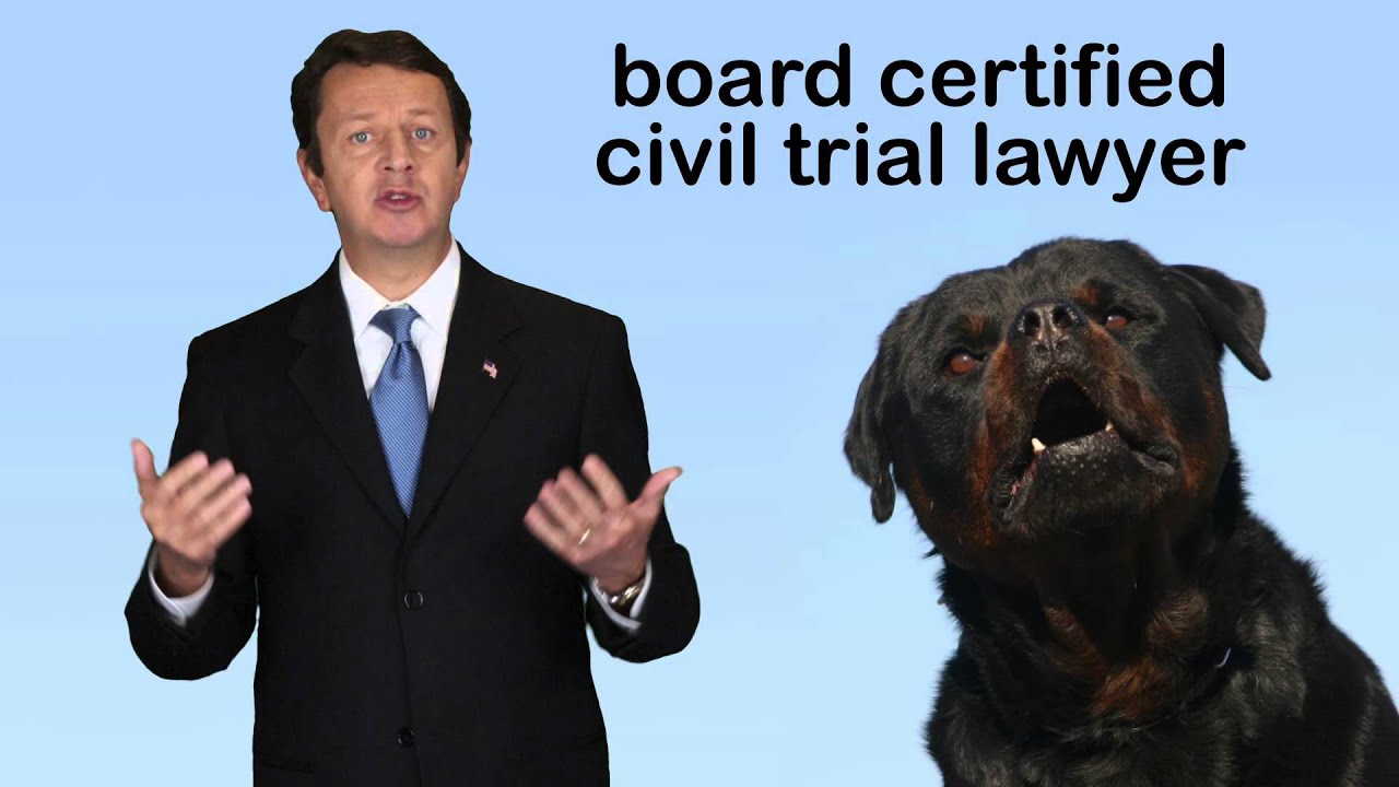 Tampa Bay Dog Bite Attorney