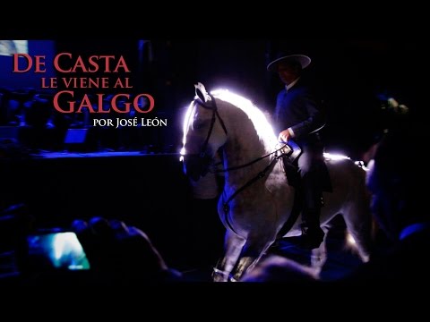 download lagu mp3 mp4 De Casta Le Viene Al Galgo, download lagu De Casta Le Viene Al Galgo gratis, unduh video klip De Casta Le Viene Al Galgo